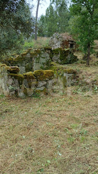 Quinta  Fornos de Algodres, Muxagata - 1412302 - 14