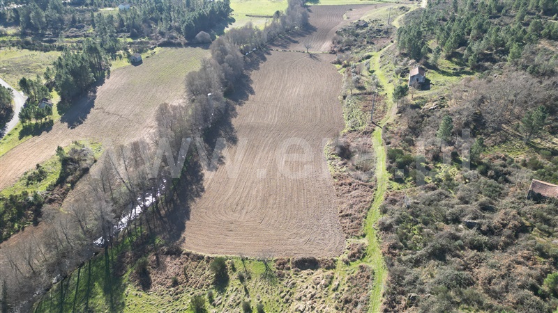 Quinta  Fornos de Algodres, Muxagata - 1412302 - 14