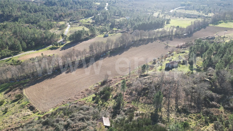 Quinta / Fornos de Algodres, Muxagata
