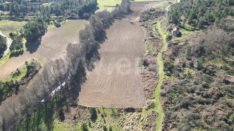 Quinta  Fornos de Algodres, Muxagata - 1412302 - 17