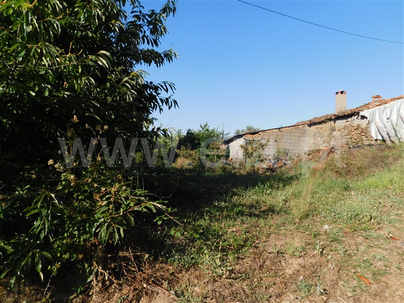 Quinta / Fundão, Alcaide
