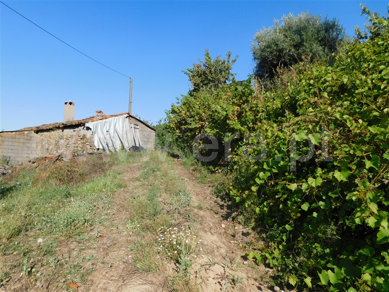 Quinta  Fundão, Alcaide - 1420516 - 2