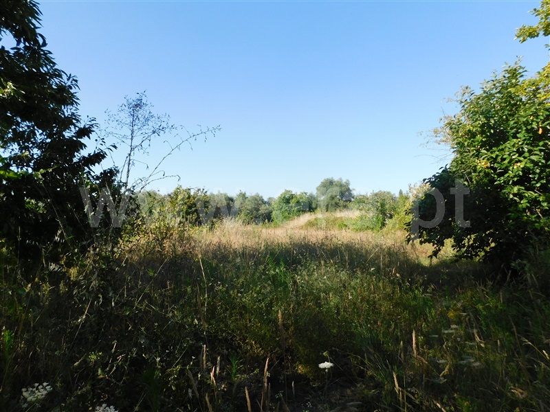 Quinta  Fundão, Alcaide - 1420516 - 8
