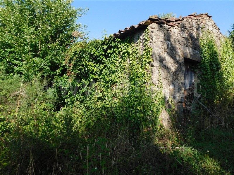 Quinta  Fundão, Alcaide - 1420516 - 10