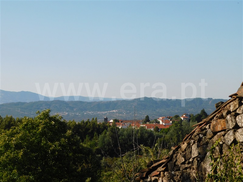 Quinta  Fundão, Alcaide - 1420516 - 12