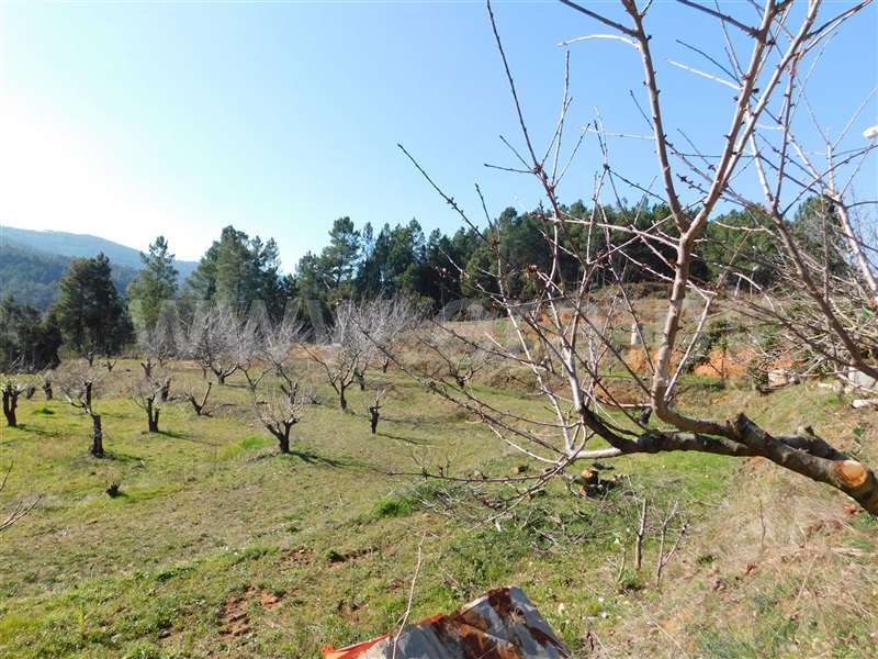 Quinta / Fundão, Alcaide