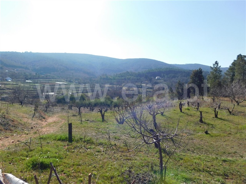 Quinta  Fundão, Alcaide - 982349 - 2