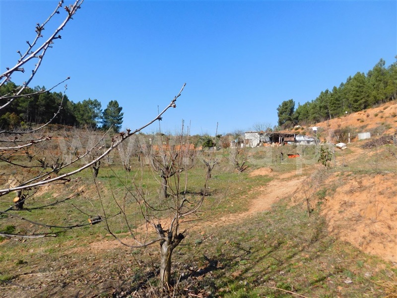 Quinta  Fundão, Alcaide - 982349 - 6