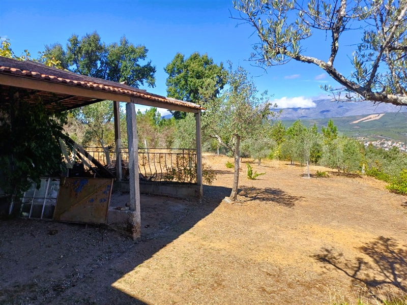 Quinta  Fundão, Alcaria - 1435597 - 8