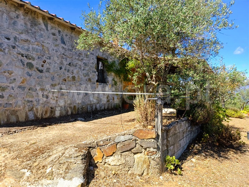 Quinta  Fundão, Alcaria - 1435597 - 16