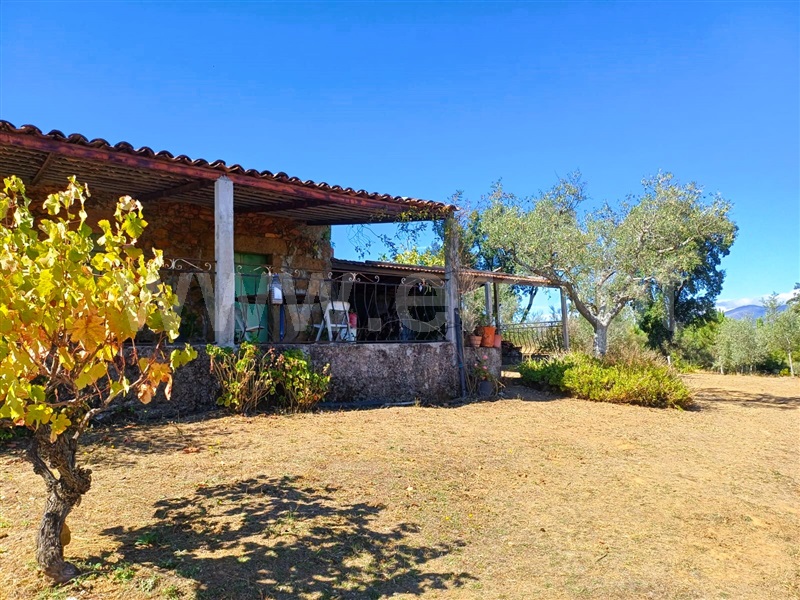 Quinta  Fundão, Alcaria - 1435597 - 17