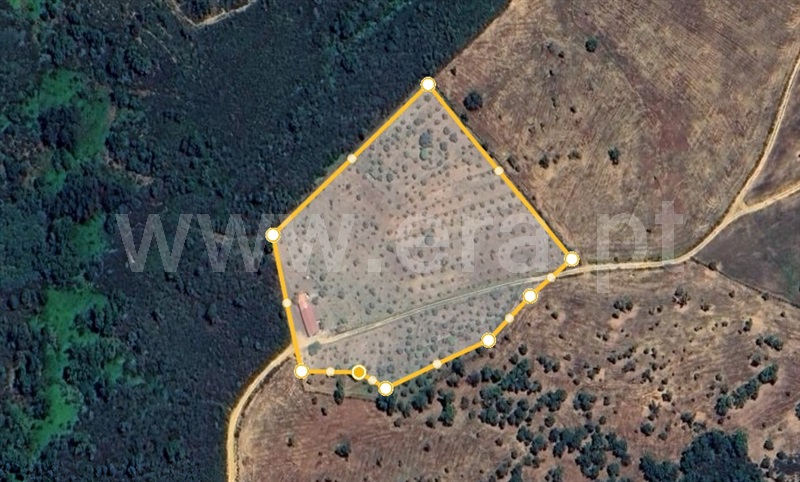 Quinta  Fundão, Alcaria - 1435597 - 22