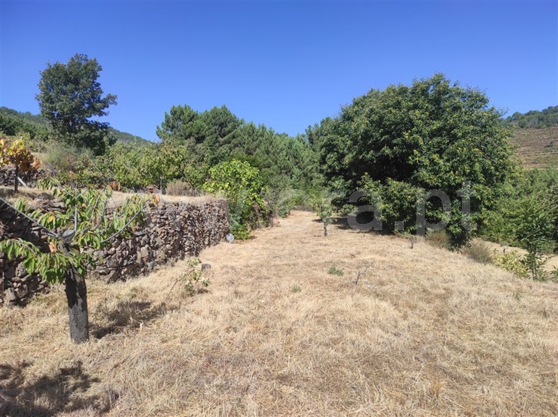 Quinta  Fundão, Alcongosta - 1270107 - 15