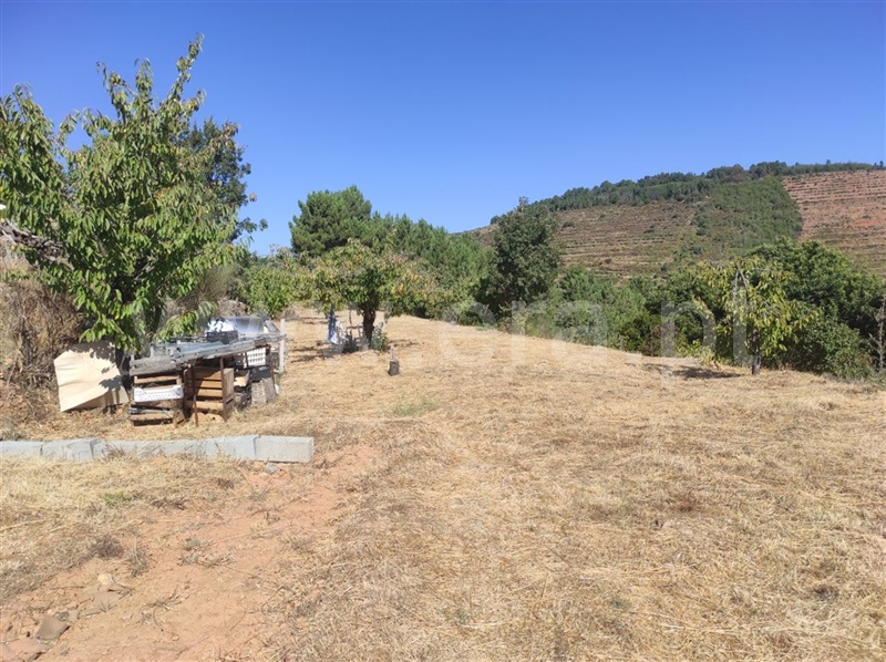 Quinta  Fundão, Alcongosta - 1270107 - 17