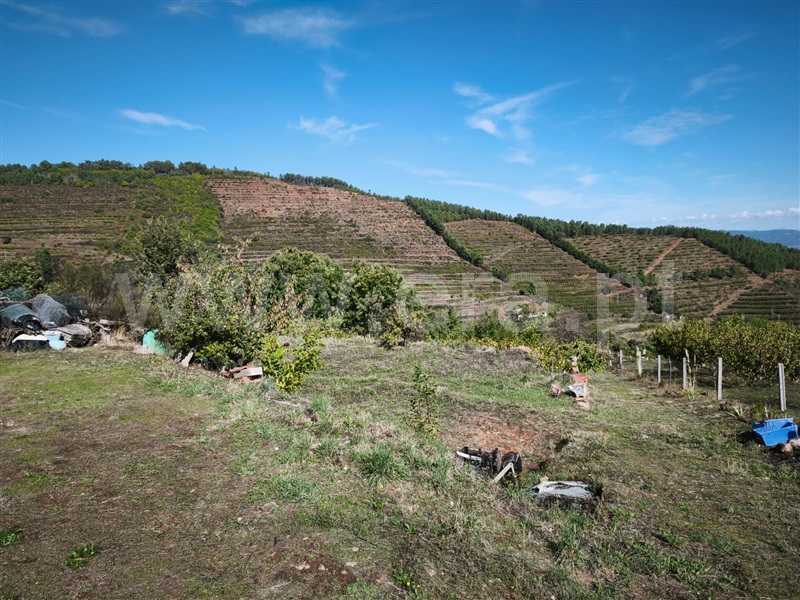 Quinta  Fundão, Alcongosta - 1270107 - 22