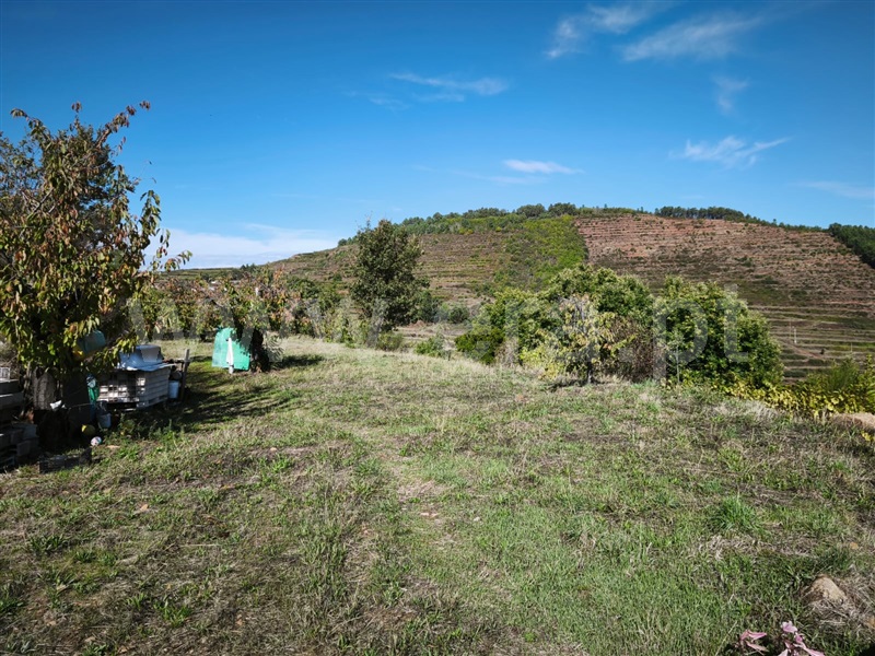 Quinta  Fundão, Alcongosta - 1270107 - 23