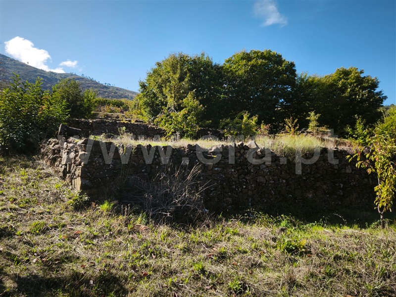 Quinta  Fundão, Alcongosta - 1270107 - 24