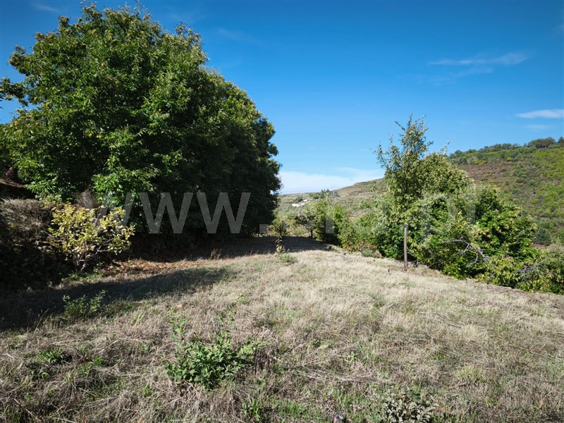 Quinta  Fundão, Alcongosta - 1270107 - 25