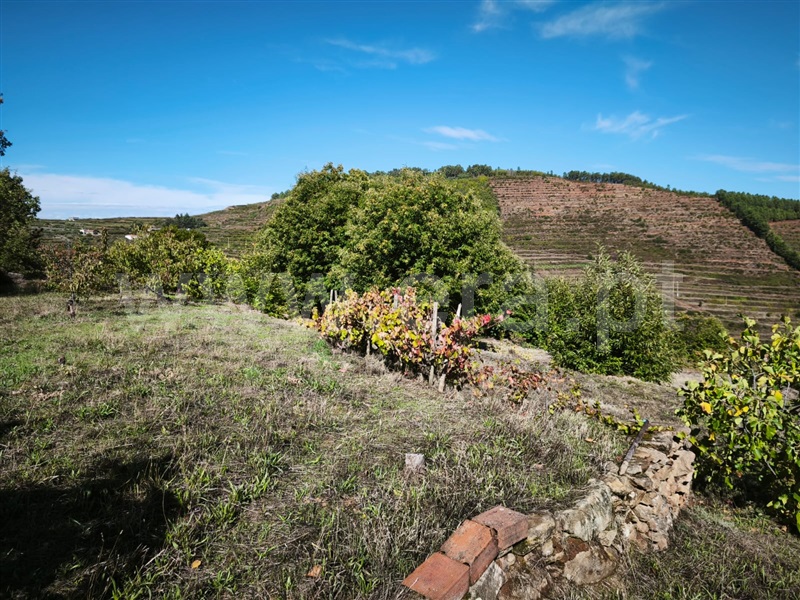 Quinta  Fundão, Alcongosta - 1270107 - 26