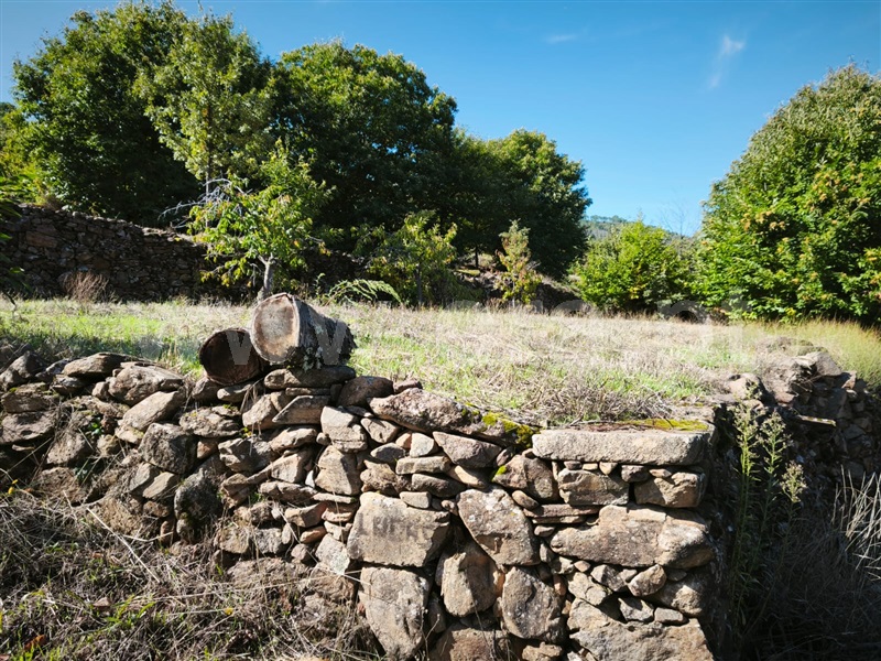 Quinta  Fundão, Alcongosta - 1270107 - 29