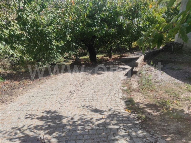 Quinta  Fundão, Alcongosta - 1278695 - 6