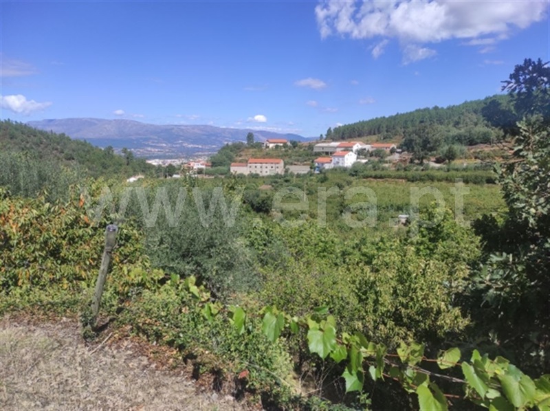 Quinta  Fundão, Alcongosta - 1278695 - 14