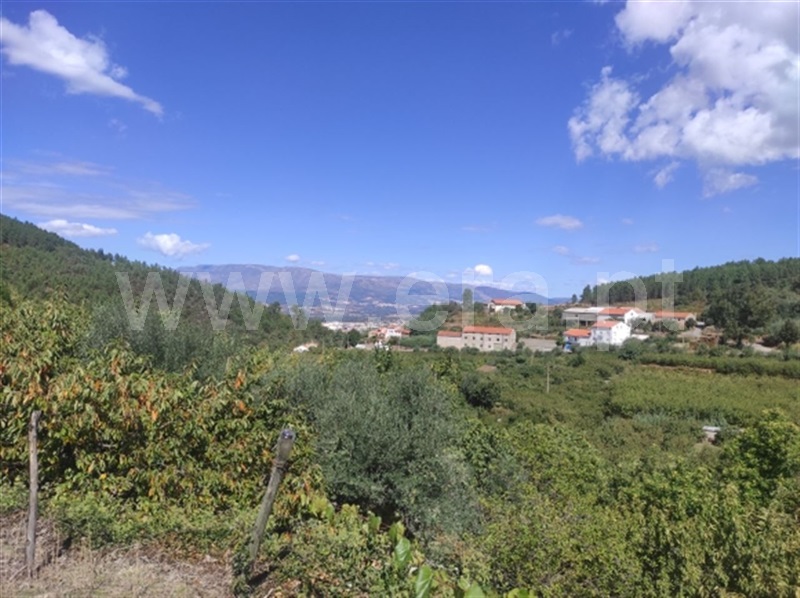 Quinta  Fundão, Alcongosta - 1278695 - 15