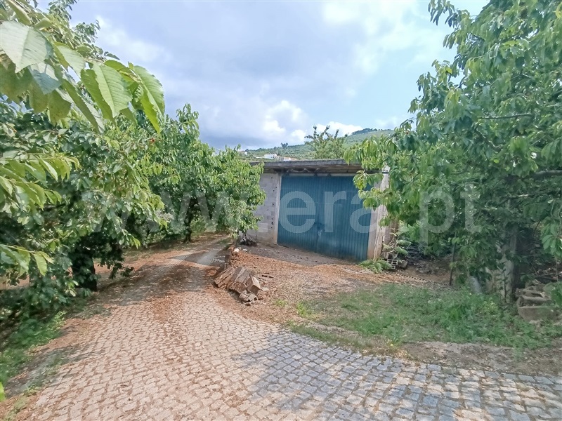 Quinta  Fundão, Alcongosta - 1278695 - 14