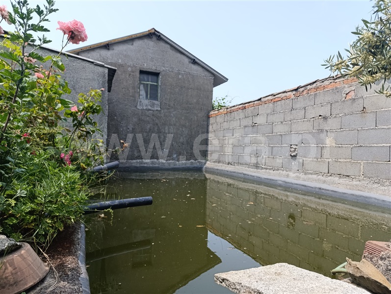 Quinta  Fundão, Alcongosta - 1278695 - 18
