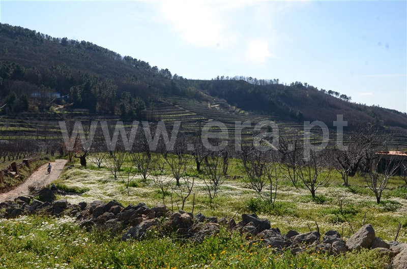 Quinta / Fundão, Aldeia de Joanes