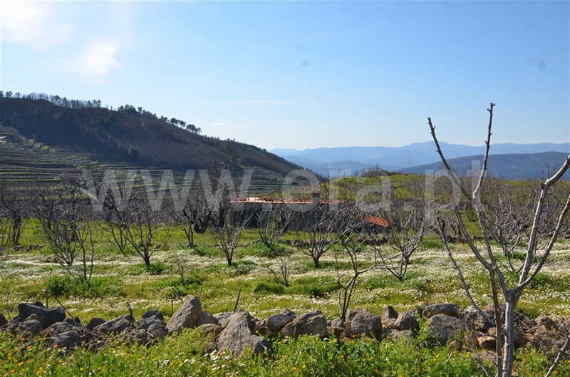 Quinta  Fundão, Aldeia de Joanes - 1165757 - 2