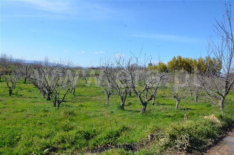 Quinta  Fundão, Aldeia de Joanes - 1165757 - 4