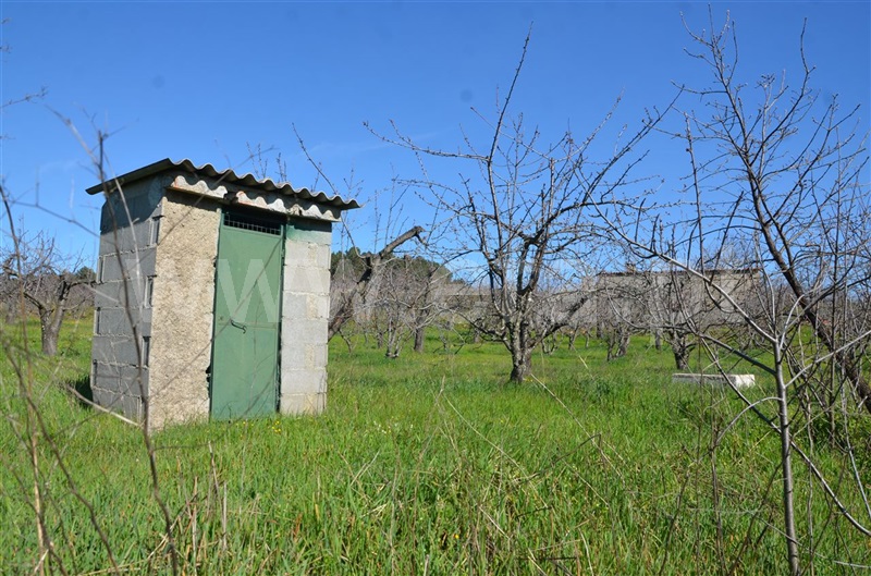 Quinta  Fundão, Aldeia de Joanes - 1165757 - 5