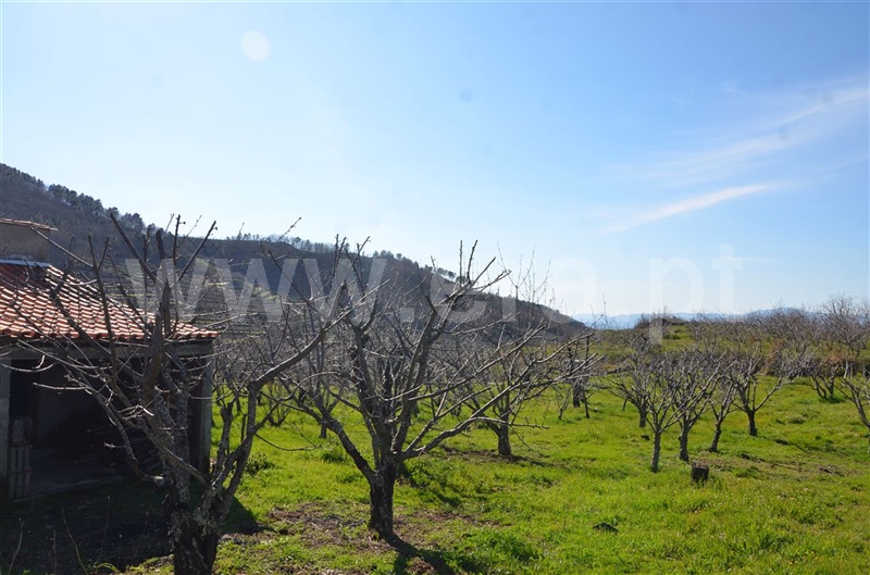 Quinta  Fundão, Aldeia de Joanes - 1165757 - 10