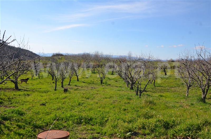 Quinta  Fundão, Aldeia de Joanes - 1165757 - 11