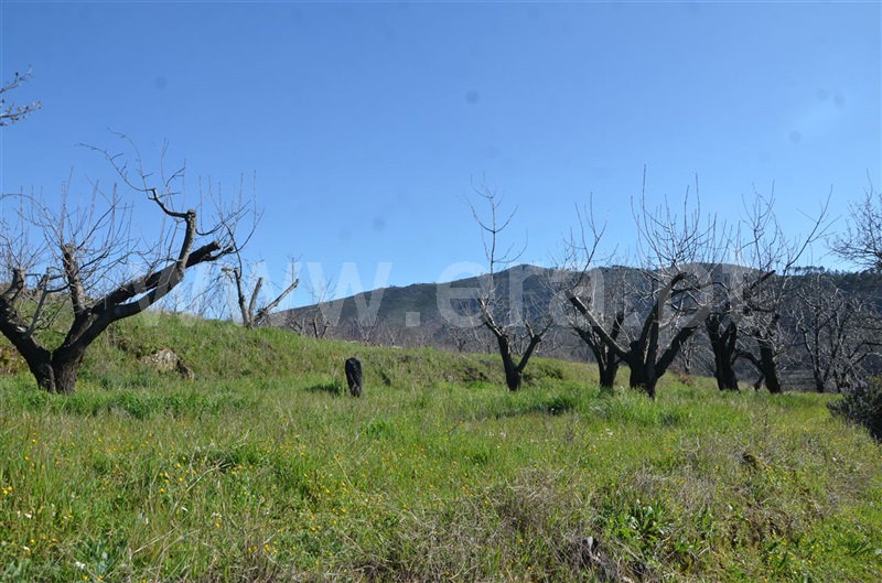 Quinta  Fundão, Aldeia de Joanes - 1165757 - 12