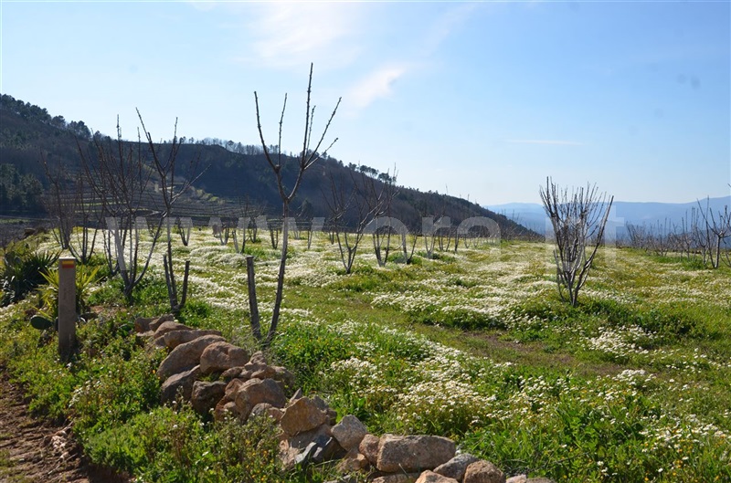 Quinta  Fundão, Aldeia de Joanes - 1165757 - 15