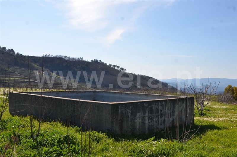 Quinta  Fundão, Aldeia de Joanes - 1165757 - 16