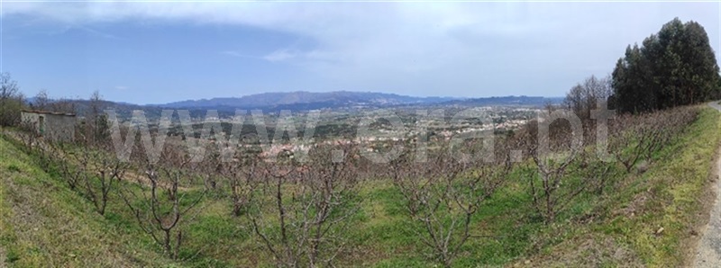 Quinta  Fundão, Aldeia Nova - 1236054 - 1