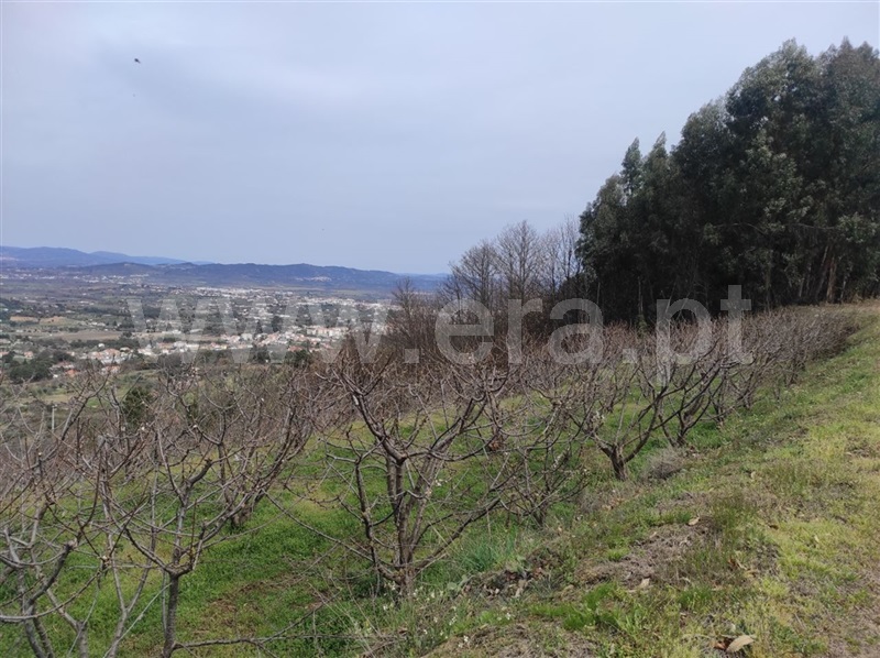 Quinta  Fundão, Aldeia Nova - 1236054 - 3