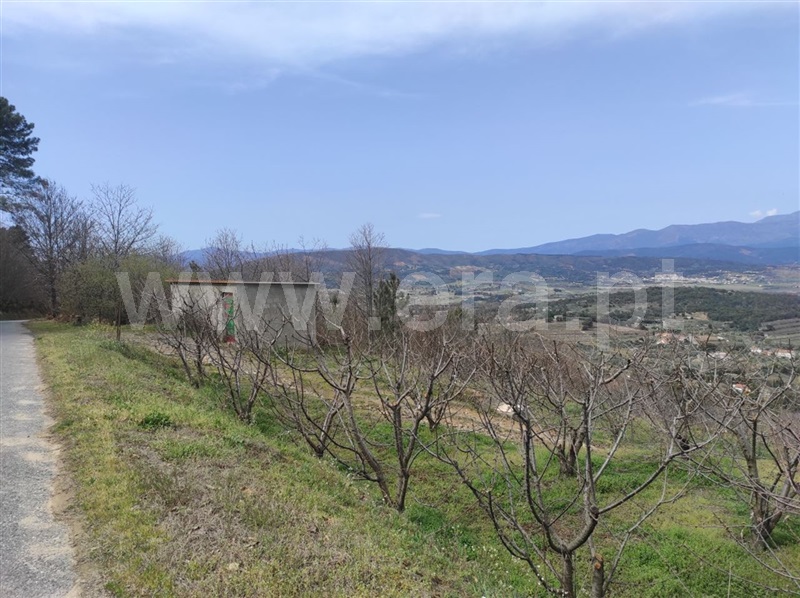 Quinta  Fundão, Aldeia Nova - 1236054 - 5