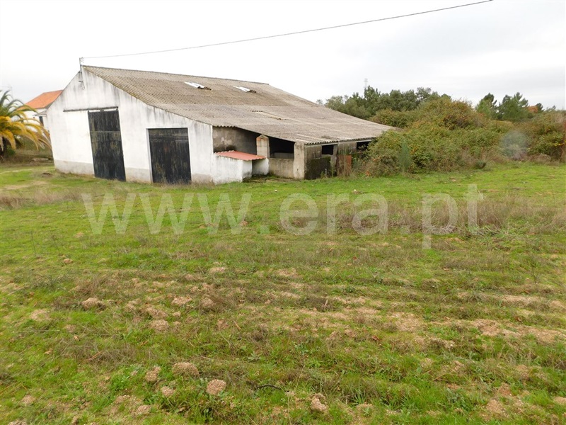 Quinta / Fundão, Atalaia do Campo