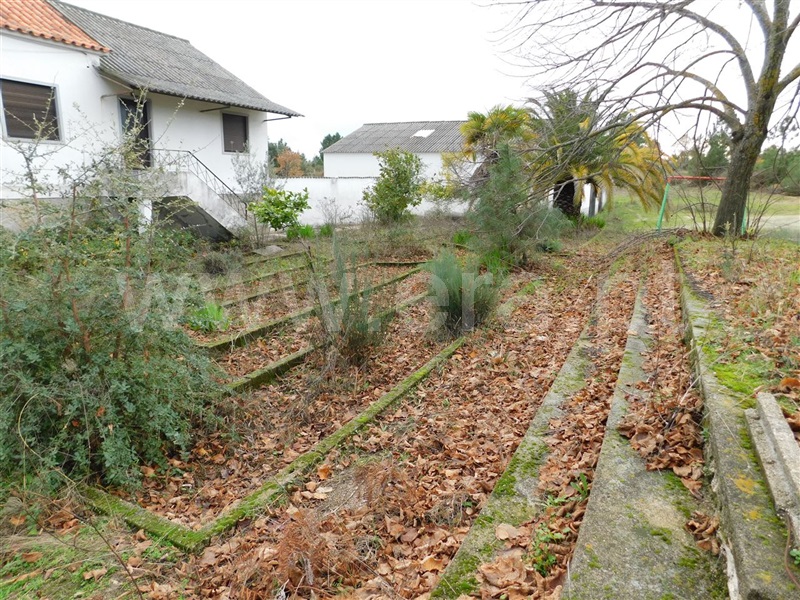Quinta  Fundão, Atalaia do Campo - 1082190 - 5
