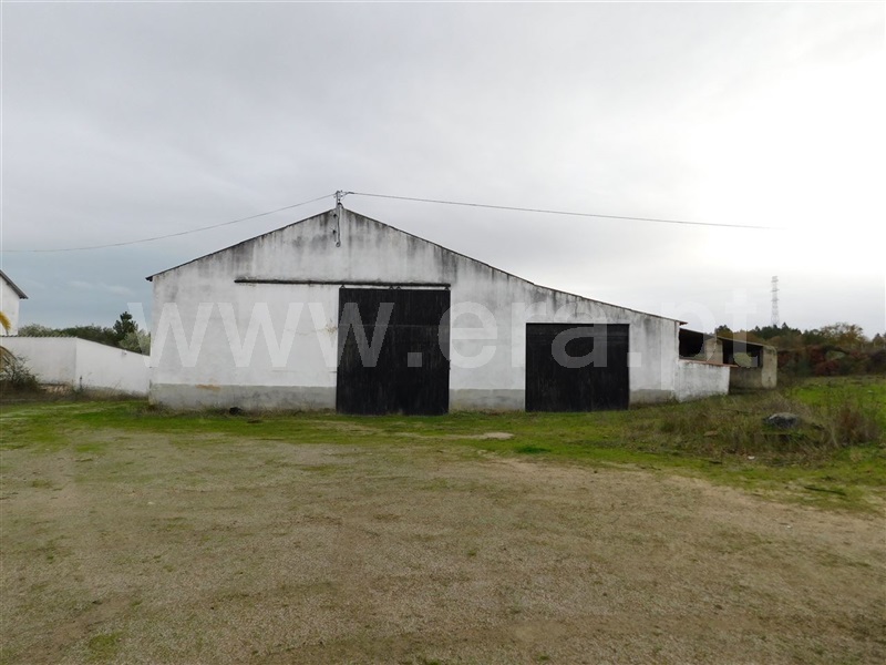 Quinta  Fundão, Atalaia do Campo - 1082190 - 9