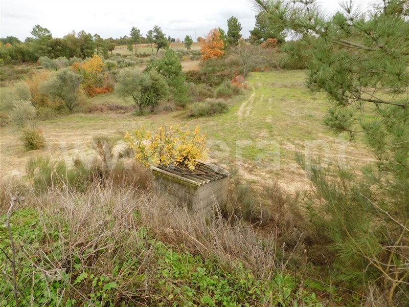 Quinta  Fundão, Atalaia do Campo - 1082190 - 13