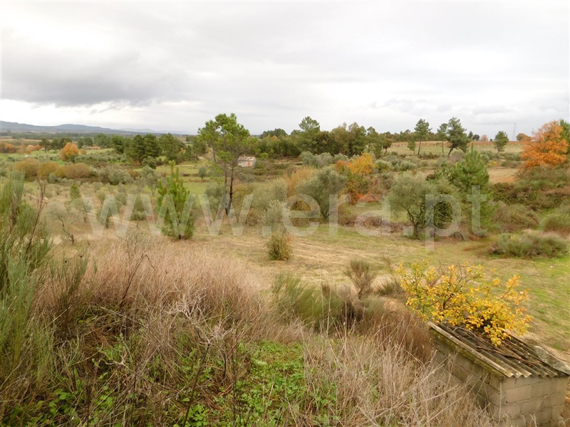Quinta  Fundão, Atalaia do Campo - 1082190 - 14