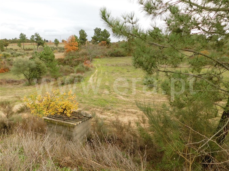 Quinta  Fundão, Atalaia do Campo - 1082190 - 15
