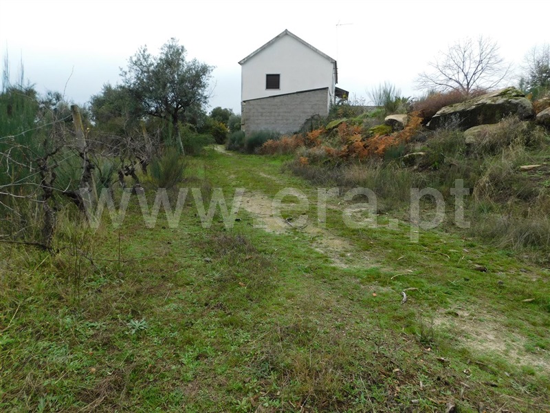 Quinta  Fundão, Atalaia do Campo - 1082190 - 16