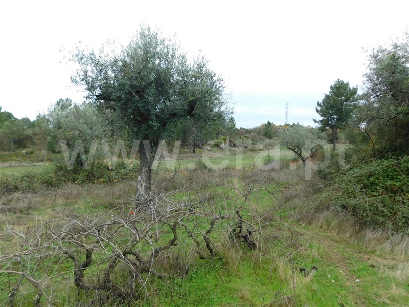 Quinta  Fundão, Atalaia do Campo - 1082190 - 17