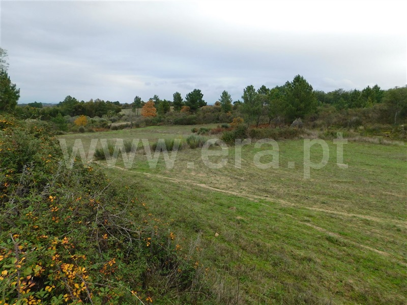 Quinta  Fundão, Atalaia do Campo - 1082190 - 18